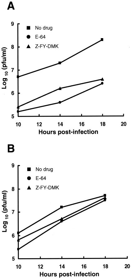 FIG. 8.