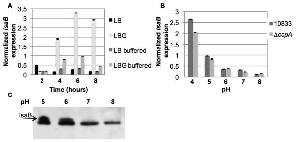 Fig 7