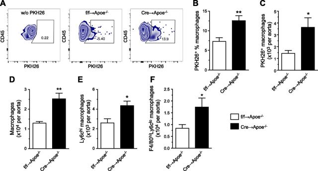 Figure 6.