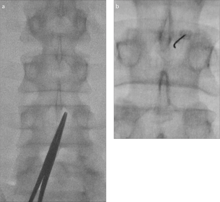 Figure 6. a, b