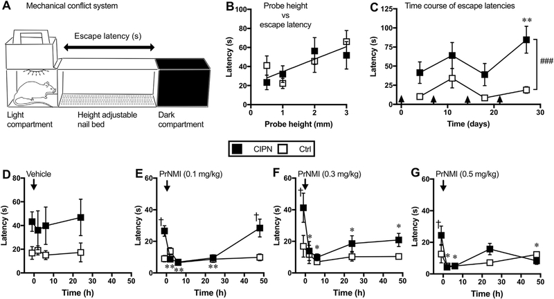 Fig. 8.