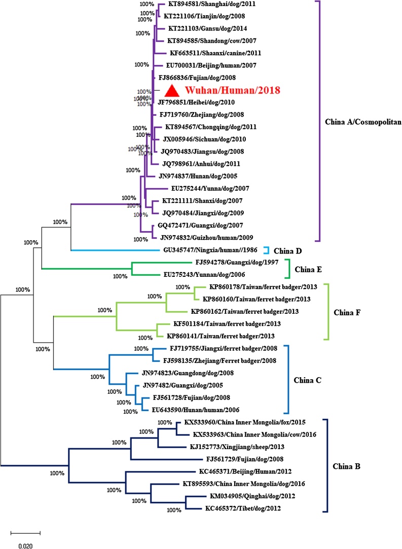 Fig. 1