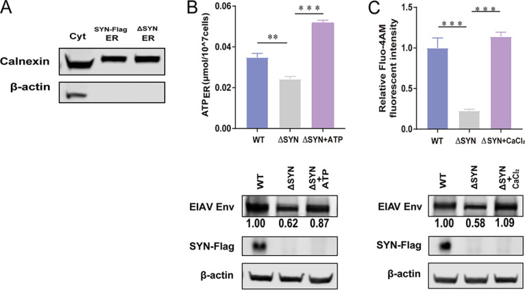 FIG 6