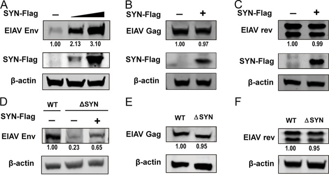 FIG 4