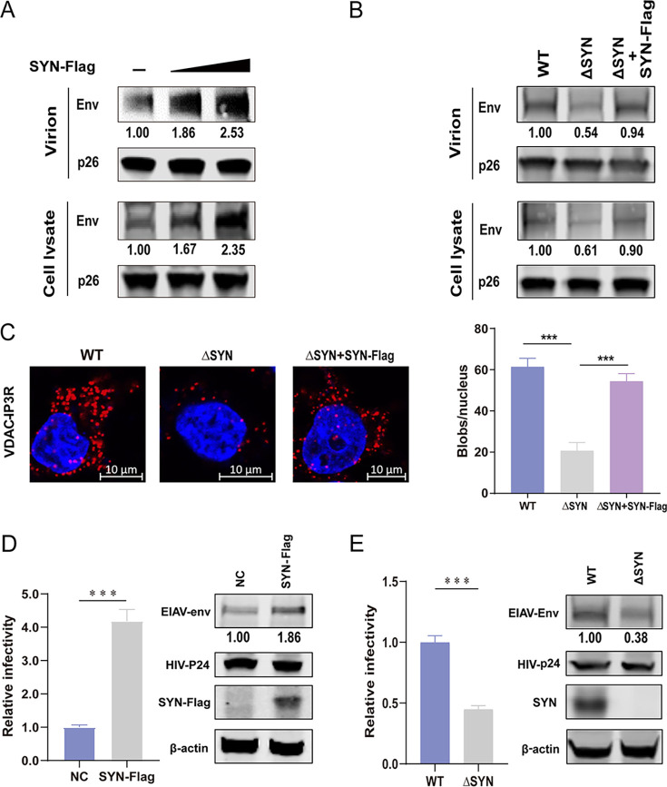 FIG 3