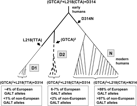 Figure 1.