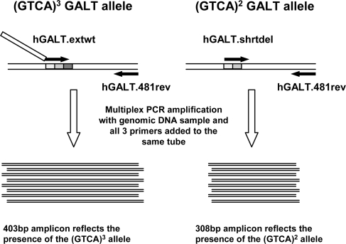 Figure 3.