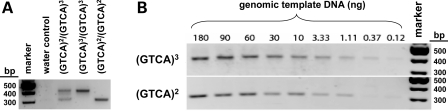 Figure 2.