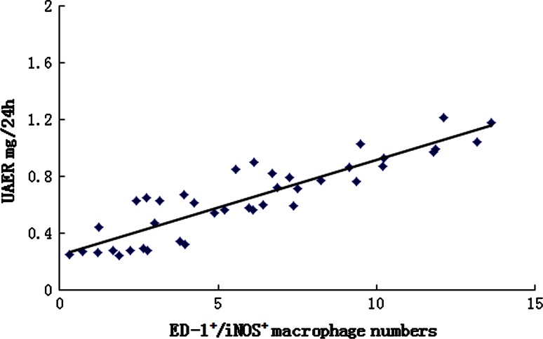 Fig. 10