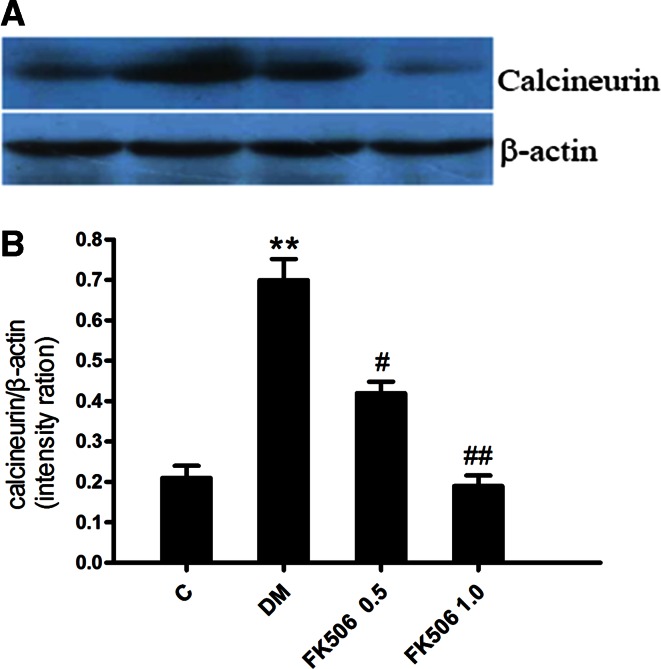 Fig. 2