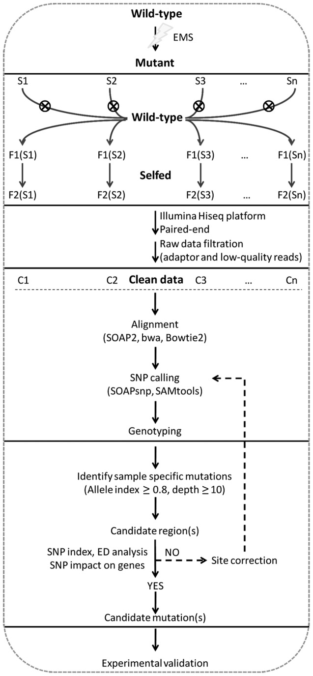 FIGURE 1