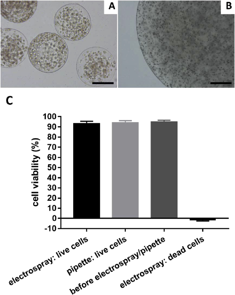 Figure 5