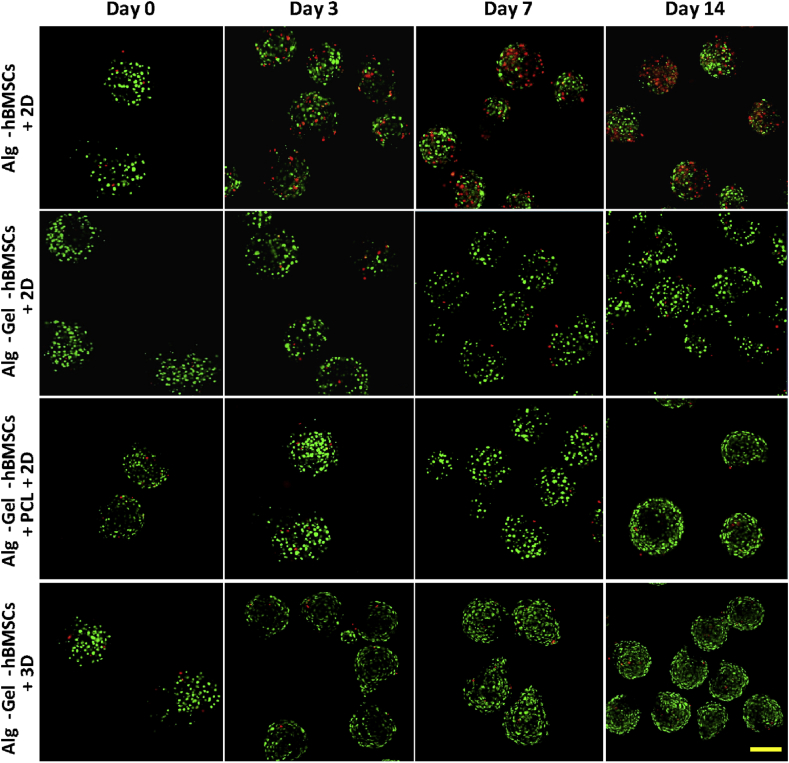 Figure 6