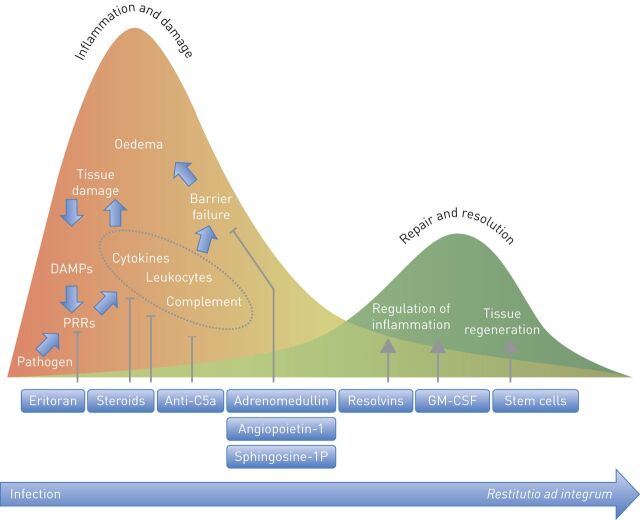 FIGURE 1