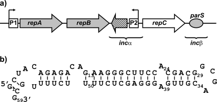 FIG. 1.