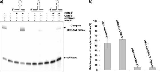 FIG. 8.