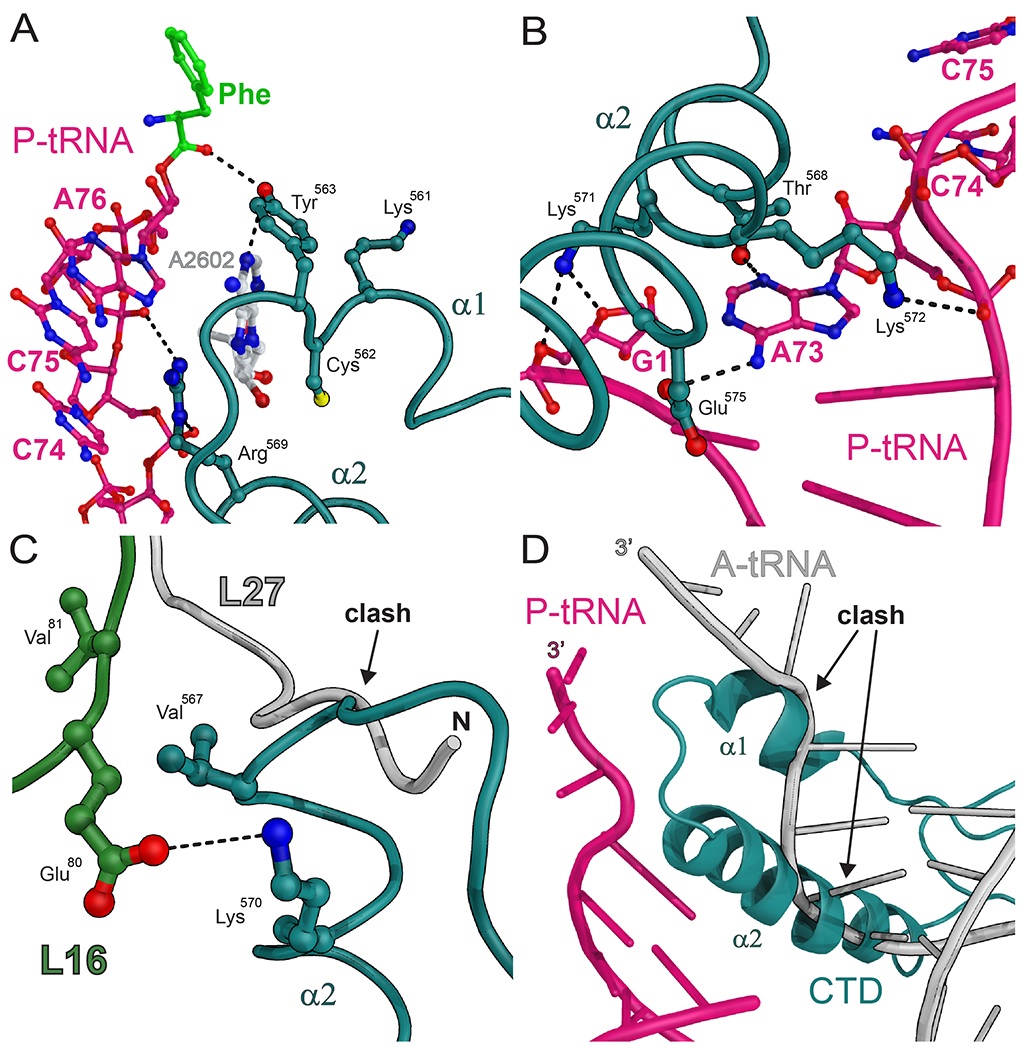 Fig. 2.