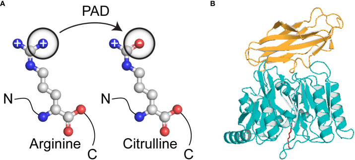 Figure 1