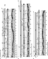 F<sc>igure</sc> 11.—