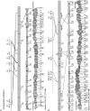 F<sc>igure</sc> 10.—