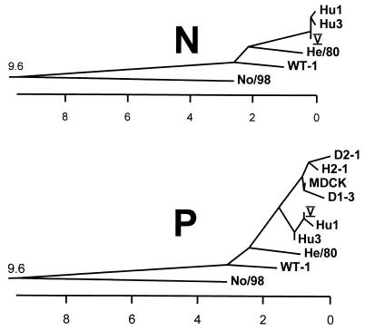 FIG. 3