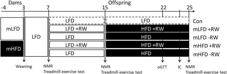 Fig 1