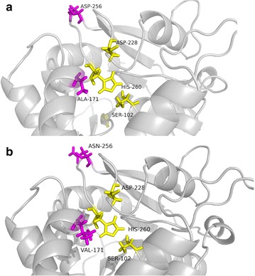 Fig. 3