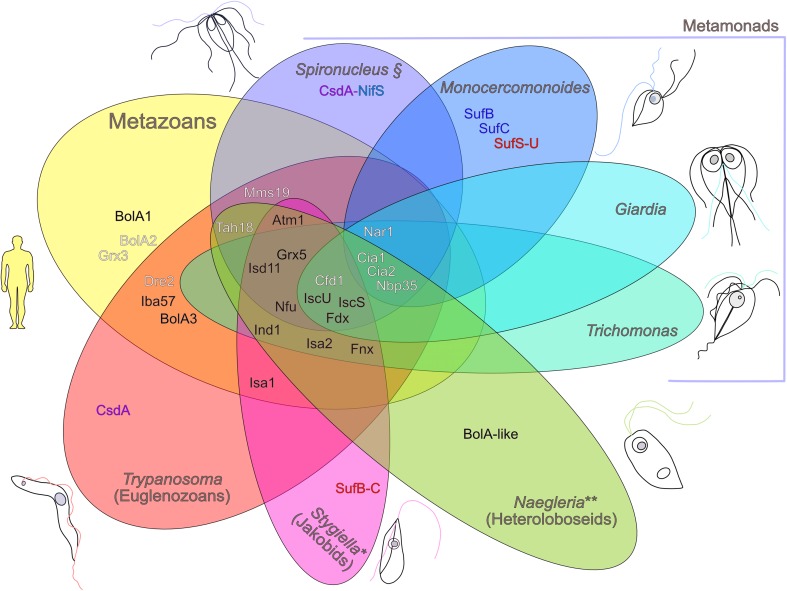 Fig. 2