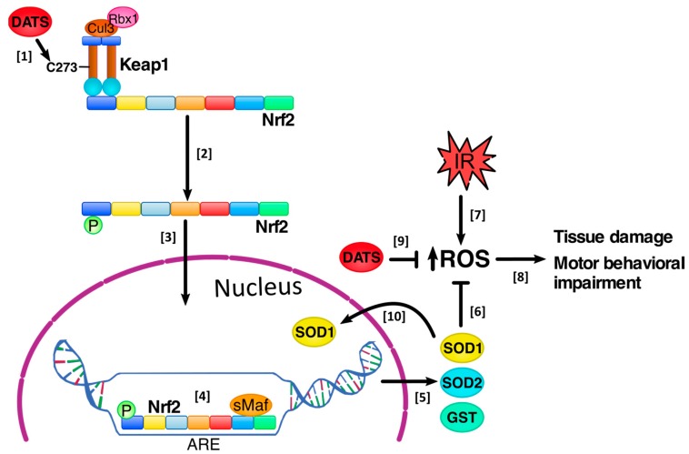 Figure 10