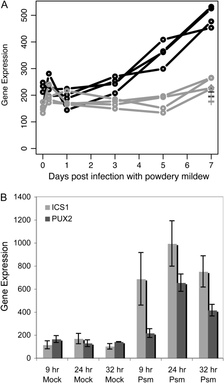 Figure 4.