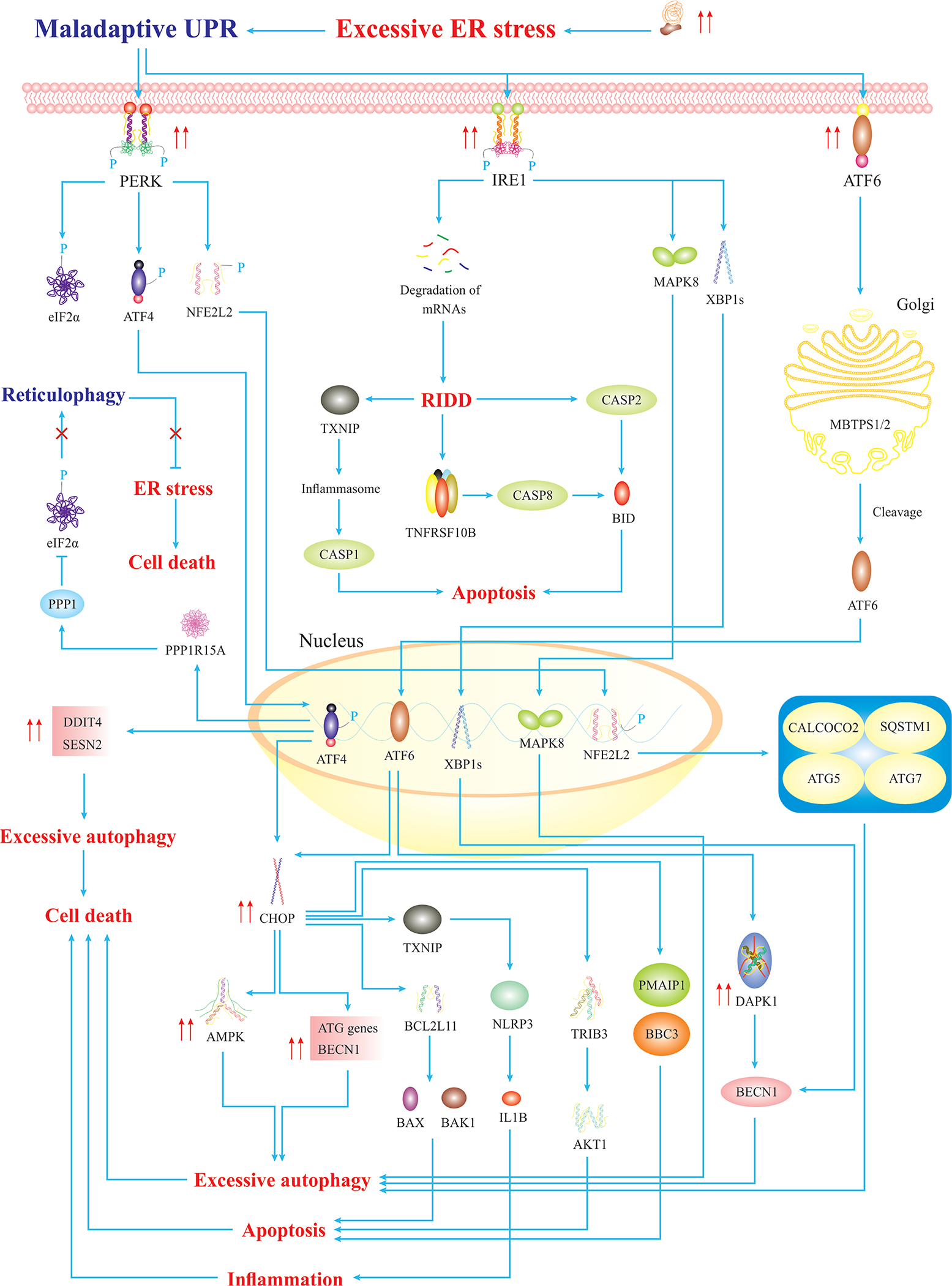 Fig. 2.