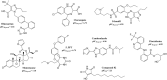 Figure 12