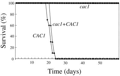 FIG. 5.