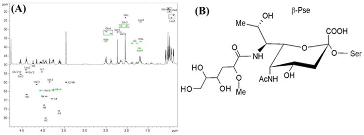 Fig. 5