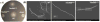 Fig. 9