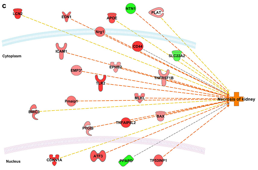 Figure 7.