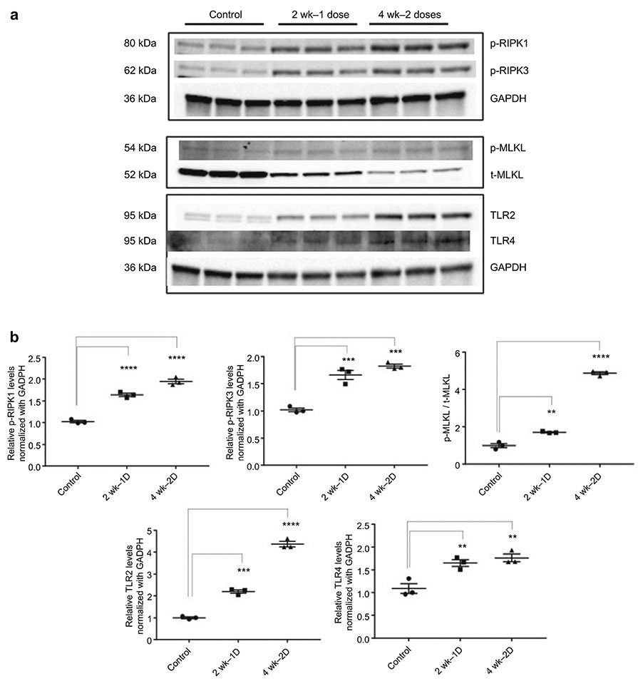 Figure 10.