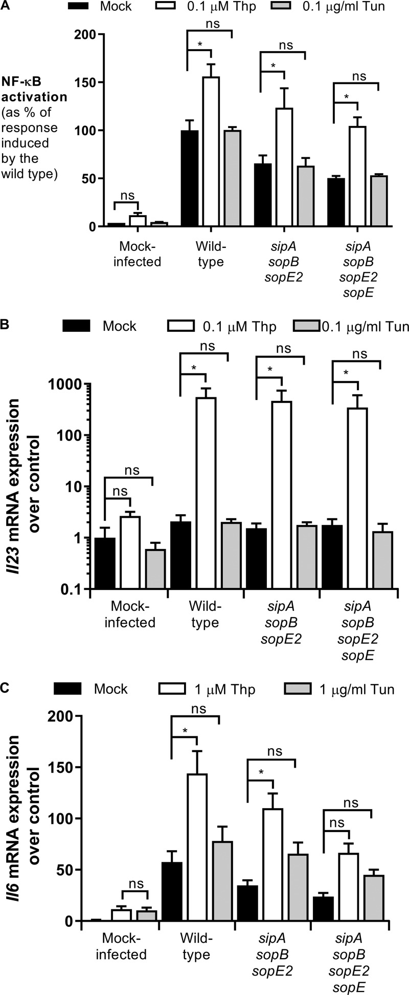 FIG 3