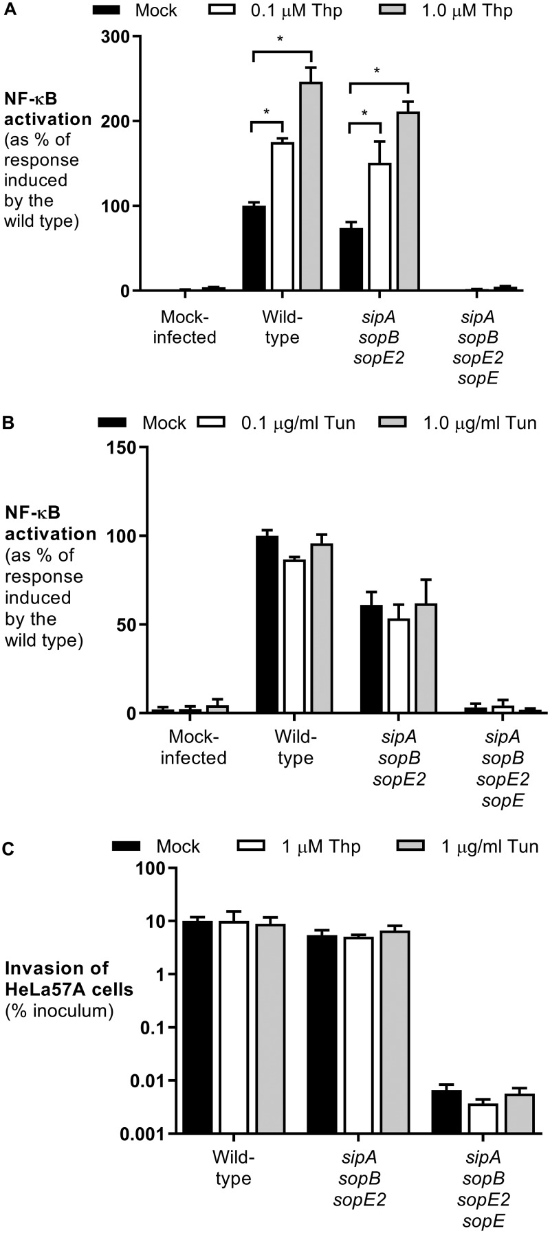 FIG 1