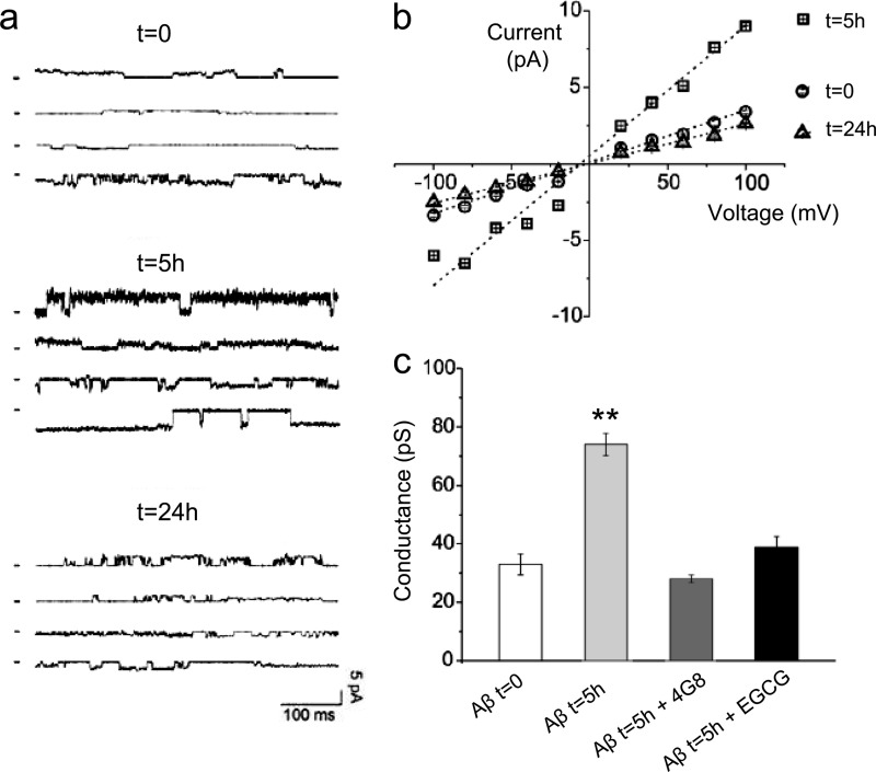 FIGURE 4.