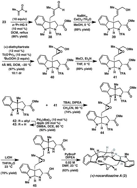 Scheme 5