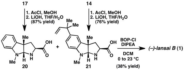 Scheme 2