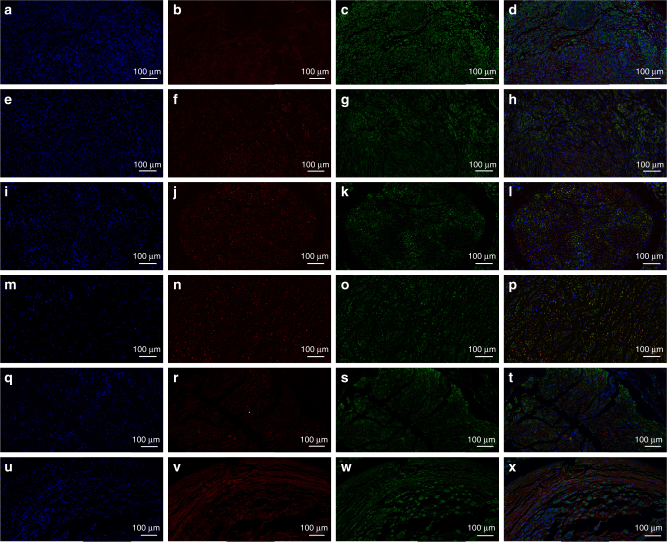 Fig. 10