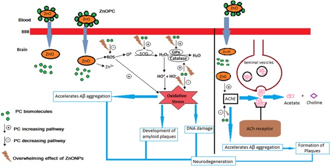 FIGURE 15