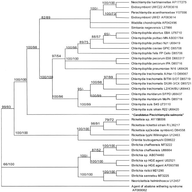 FIG. 5.