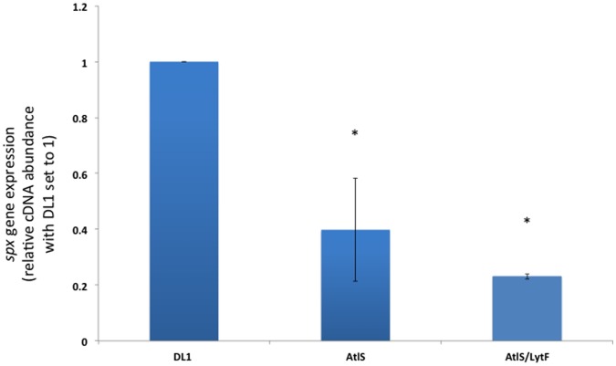 Figure 5