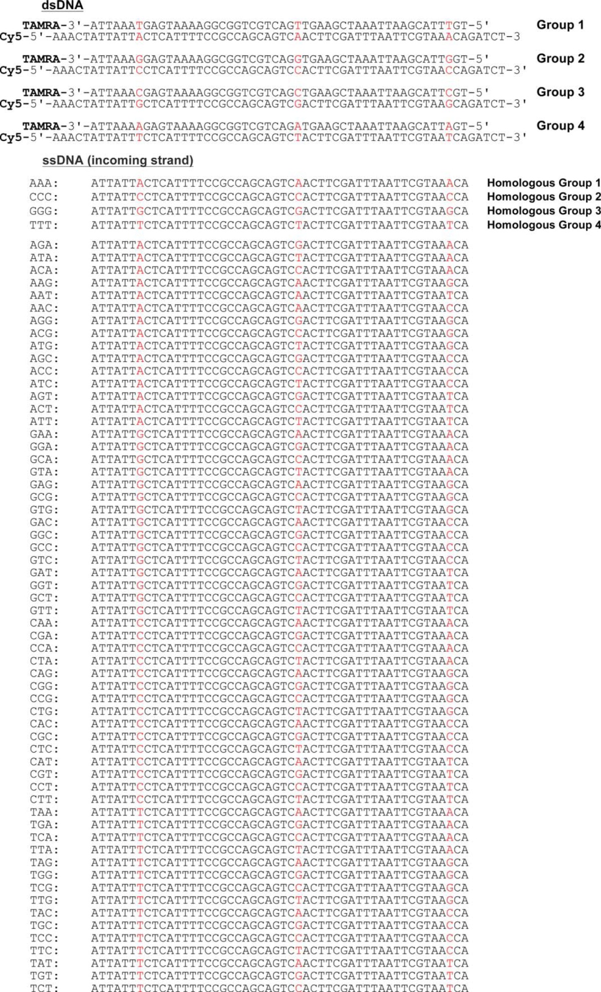 graphic file with name zbc010163781t001.jpg