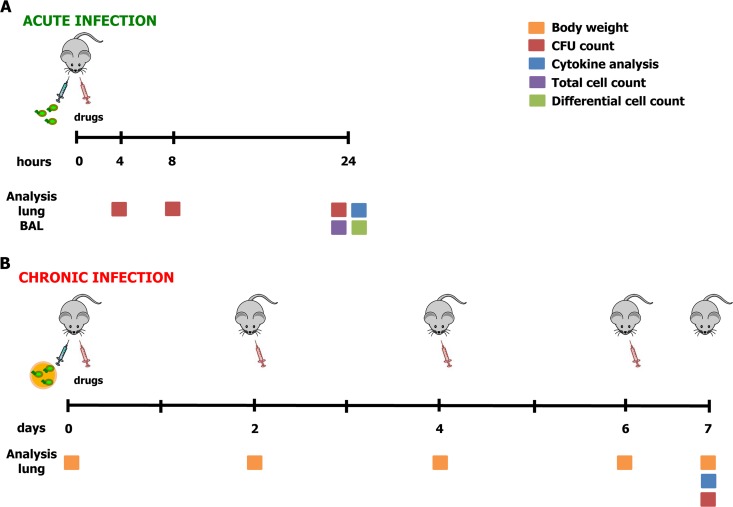 FIG 1