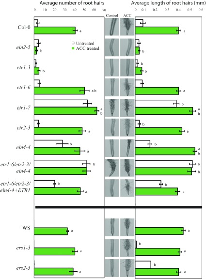 Figure 10.