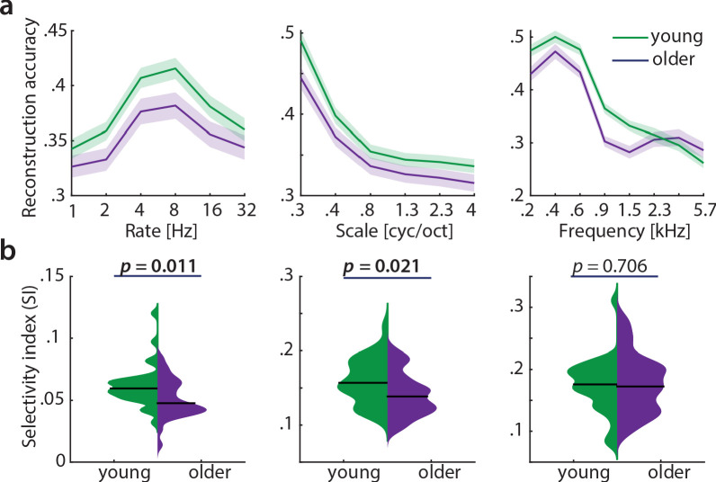 Figure 5—figure supplement 1.